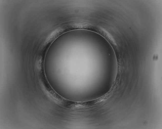 X0000090890163200707271339