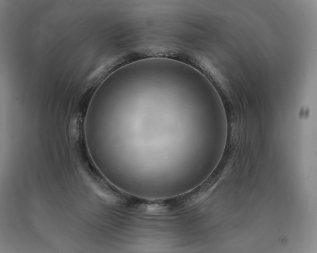 X0000090890165200707271340