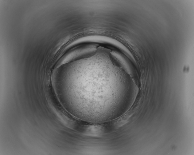 X0000090890168200707271340