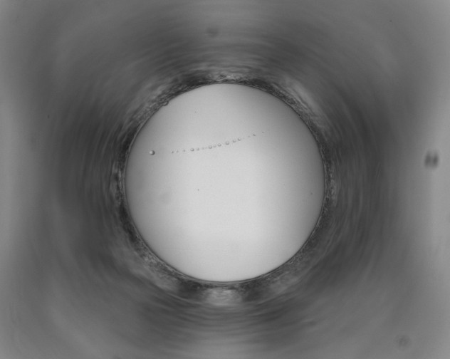 X0000090890169200707271340