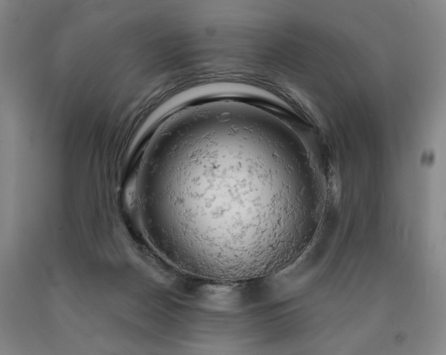 X0000090890170200707271340