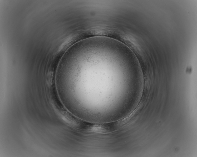 X0000090890171200707271340