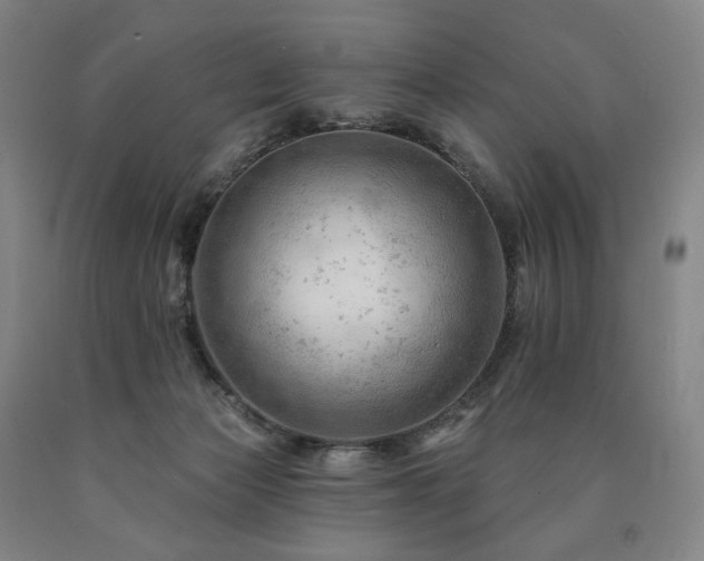 X0000090890173200707271340