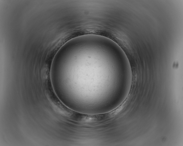 X0000090890174200707271340