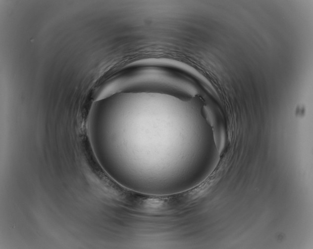 X0000090890176200707271340