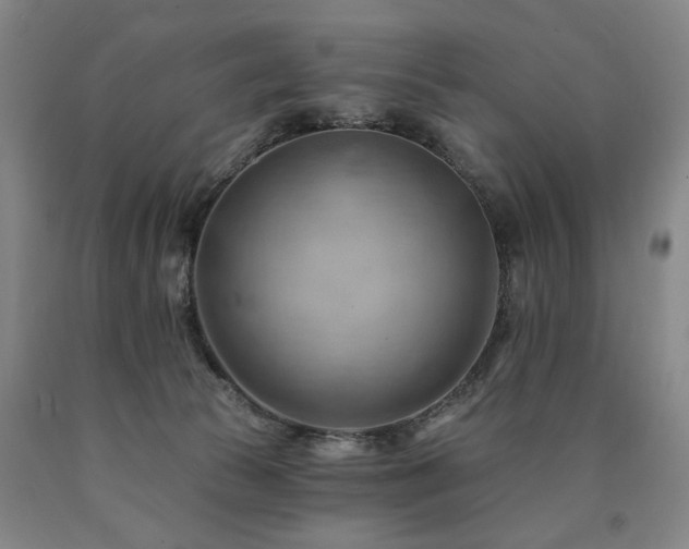 X0000090890177200707271340