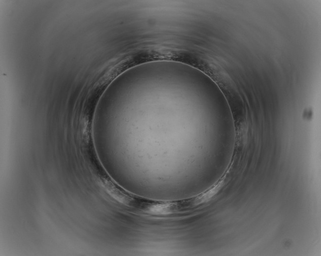 X0000090890178200707271340