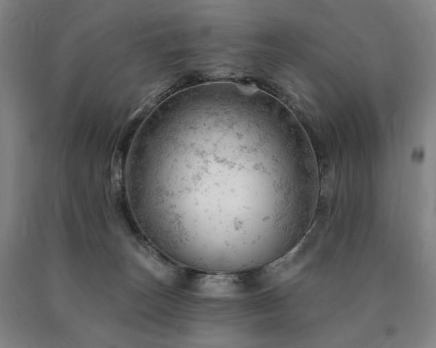 X0000090890179200707271340