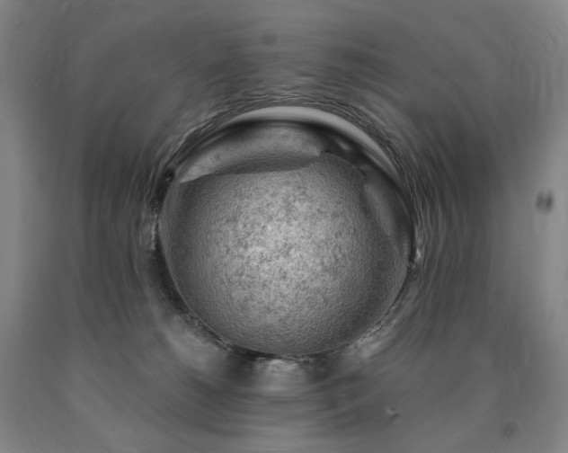 X0000090890180200707271340