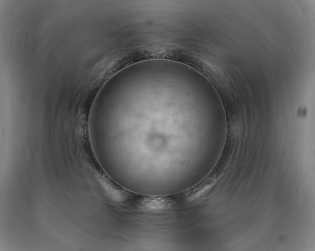 X0000090890181200707271340