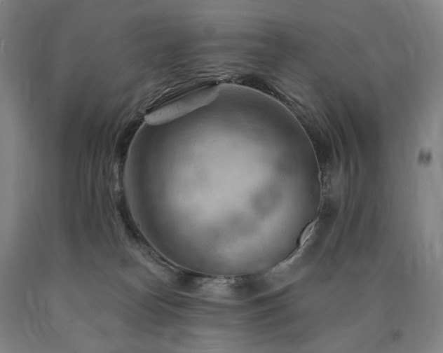 X0000090890182200707271340