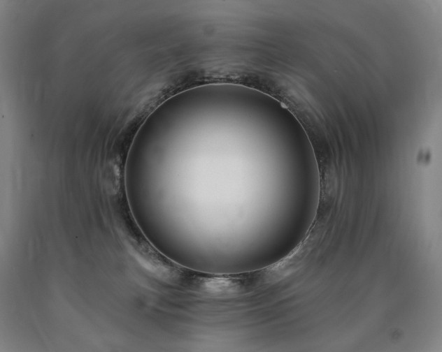 X0000090890183200707271340