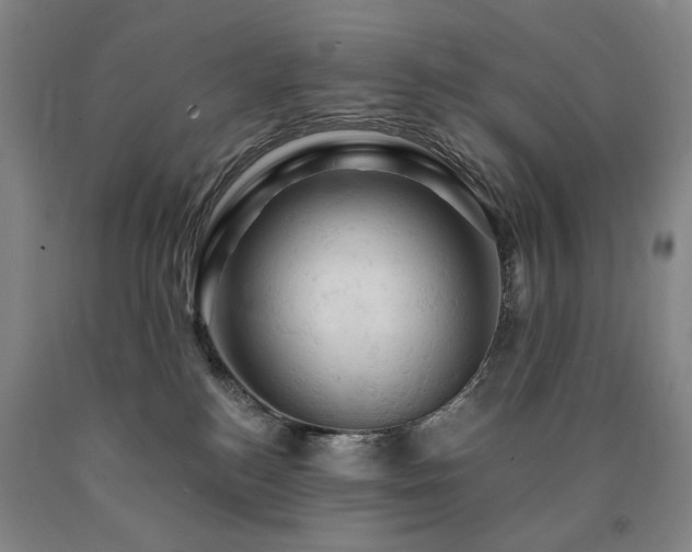 X0000090890184200707271340