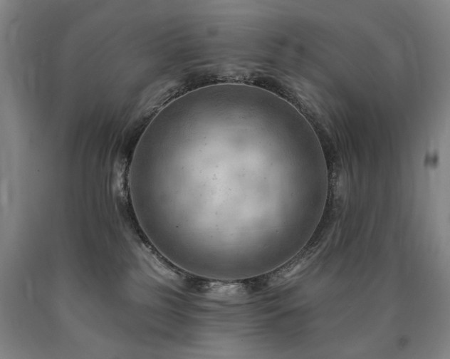 X0000090890185200707271340