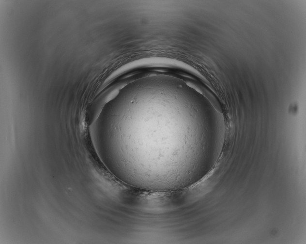 X0000090890186200707271340