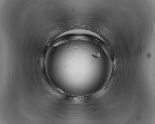 X0000090890188200707271340