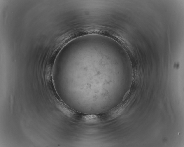 X0000090890189200707271340