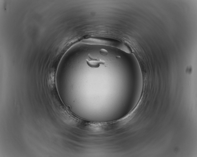 X0000090890190200707271340