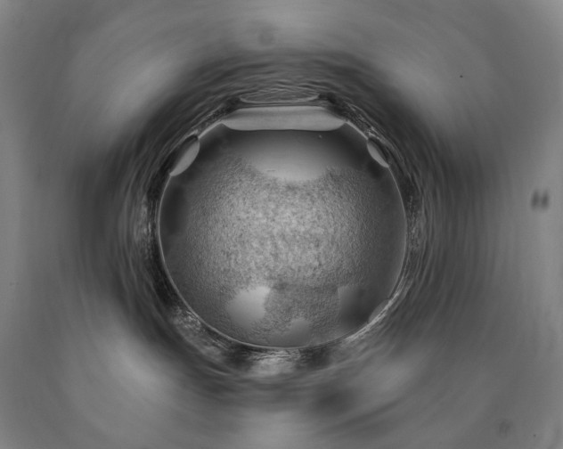 X0000090890191200707271340