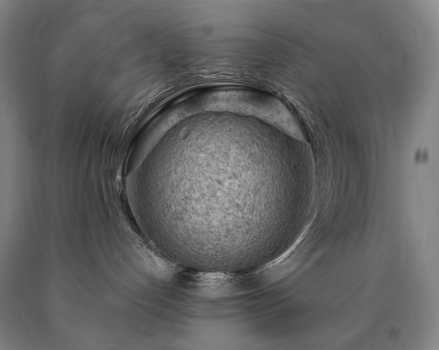 X0000090890192200707271340