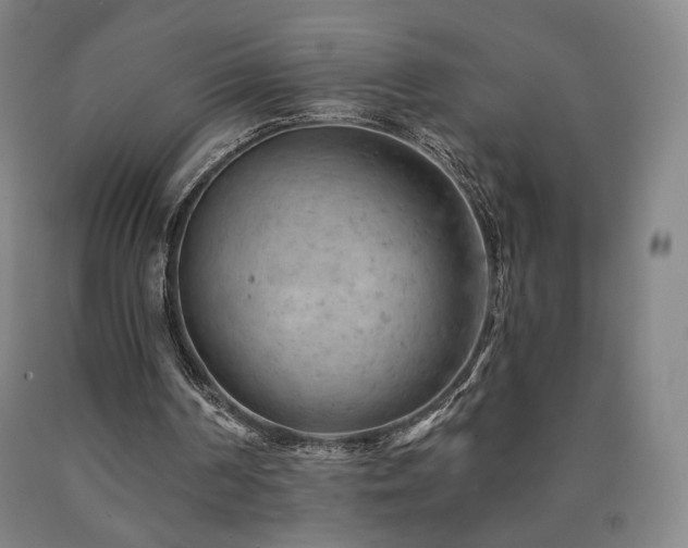 X0000090890194200707271339