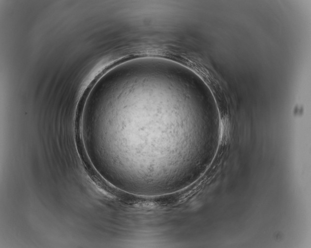 X0000090890195200707271339