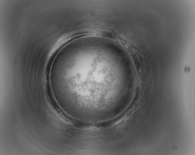 X0000090890198200707271339