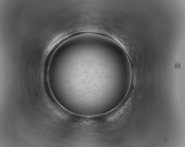 X0000090890199200707271339