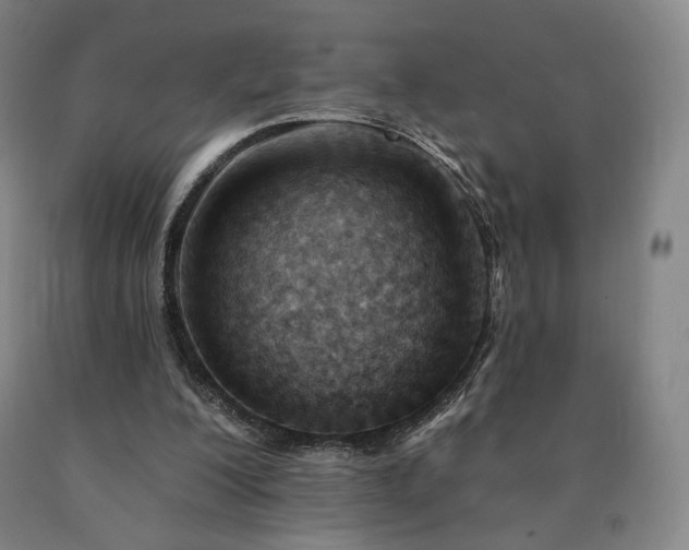 X0000090890200200707271339