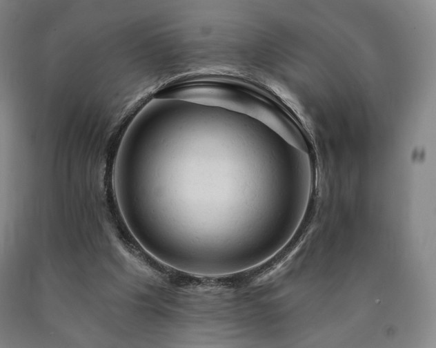 X0000090890201200707271339