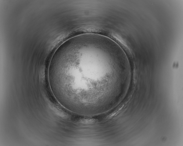 X0000090890202200707271339