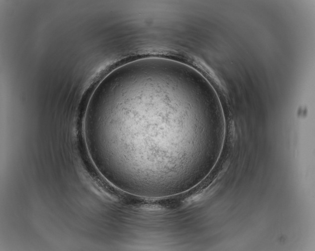 X0000090890203200707271339