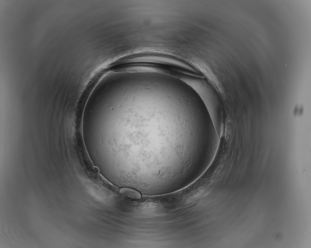 X0000090890204200707271339