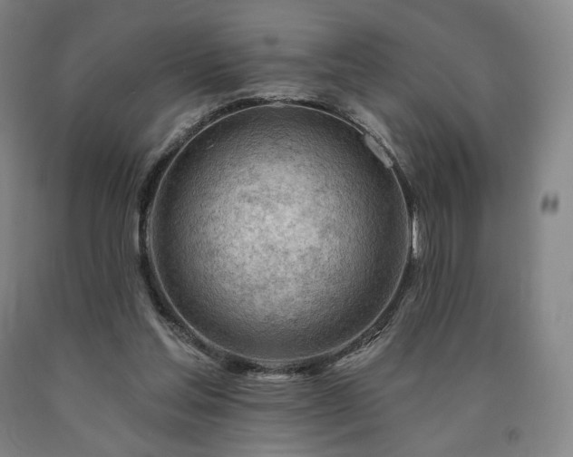 X0000090890205200707271339