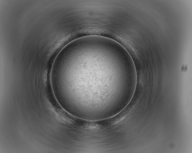 X0000090890206200707271339