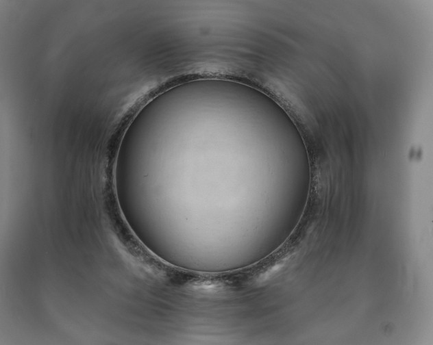 X0000090890208200707271339