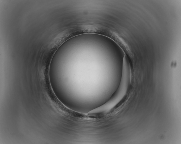 X0000090890209200707271339