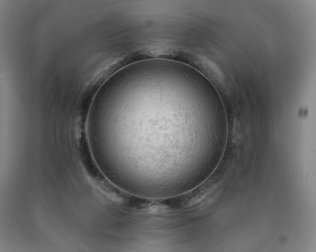 X0000090890210200707271339