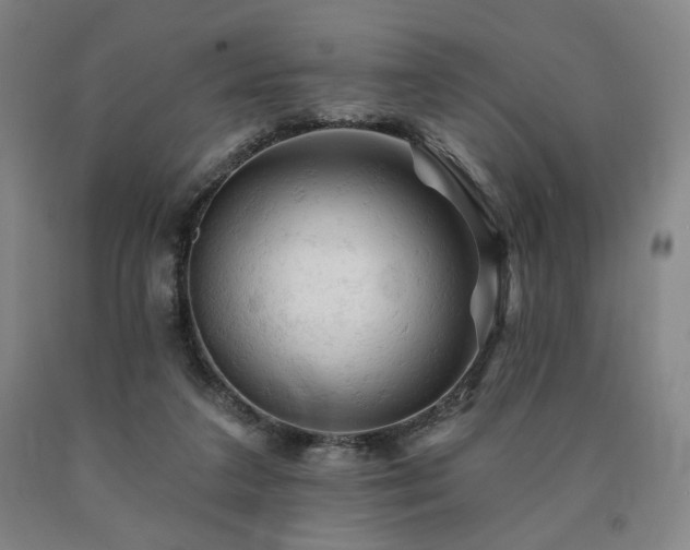 X0000090890211200707271339