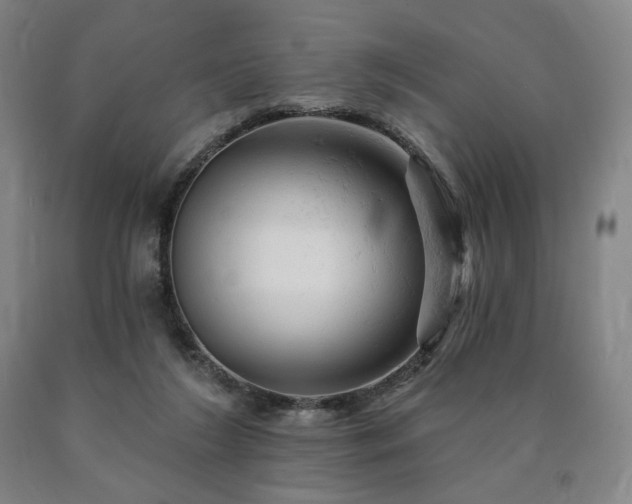 X0000090890212200707271339