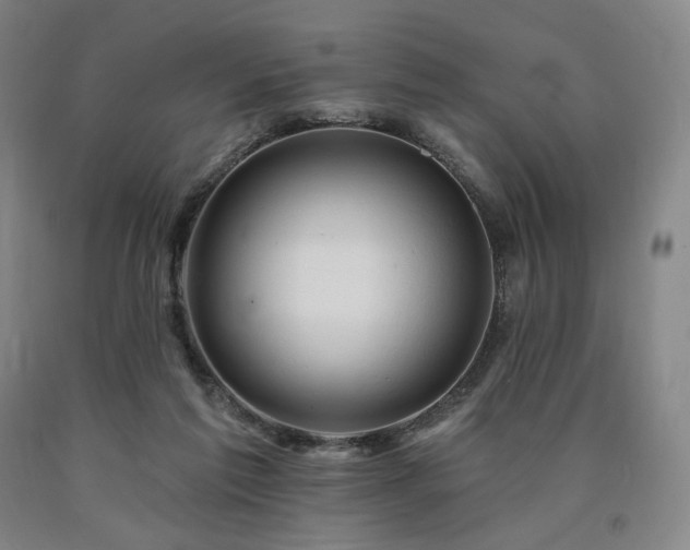 X0000090890213200707271339