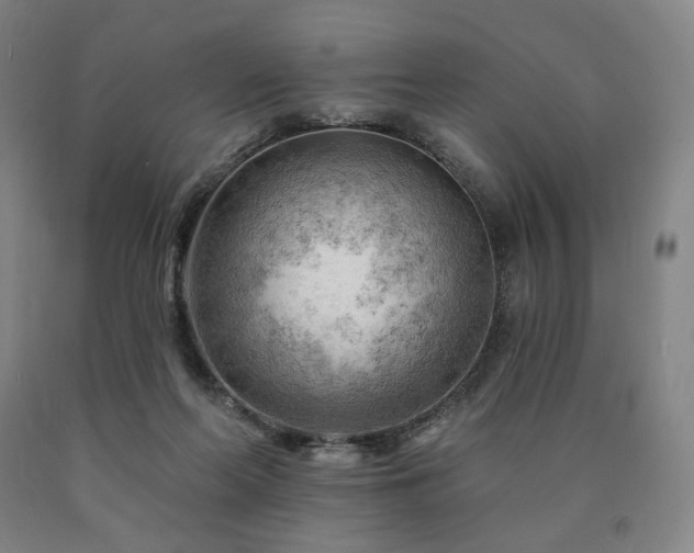 X0000090890214200707271339