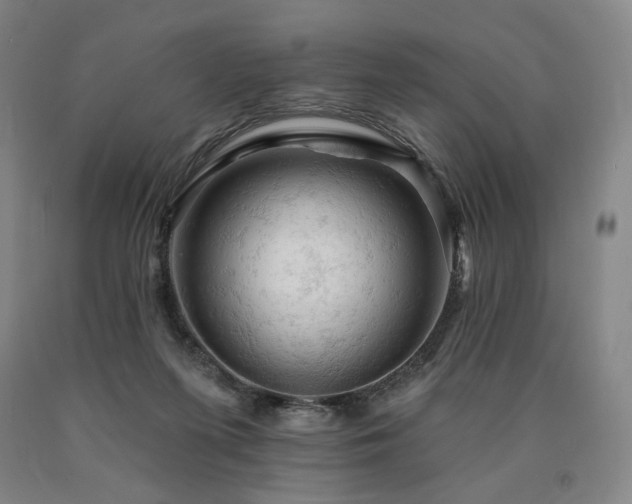 X0000090890215200707271339