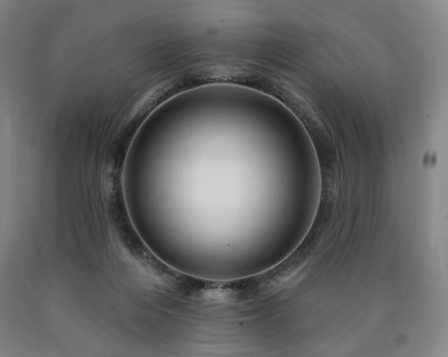 X0000090890216200707271339