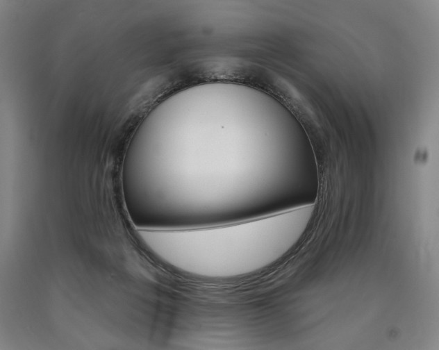 X0000090890217200707271339