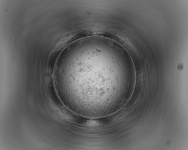 X0000090890218200707271339