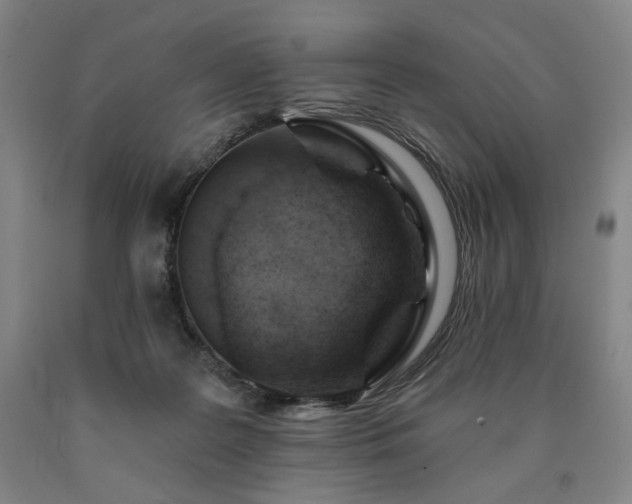 X0000090890219200707271339