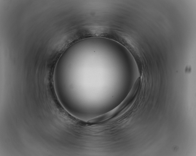 X0000090890221200707271339