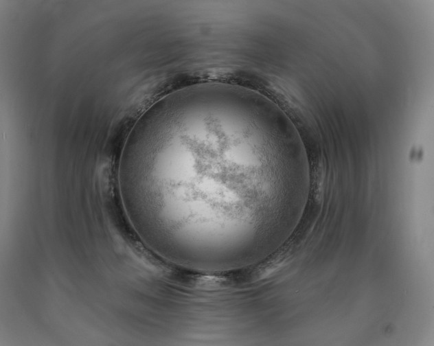 X0000090890222200707271339