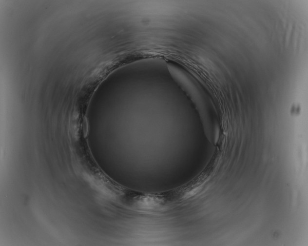 X0000090890223200707271339